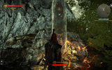 Witcher2_2013-02-24_21-22-21-78-1